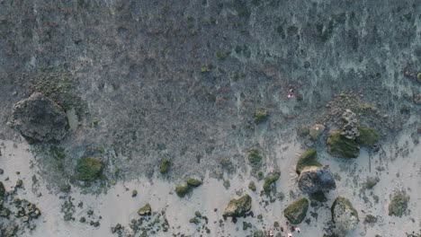 Drone-Panorámico-De-Arriba-Hacia-Abajo-Sobre-El-Arrecife-De-Coral-De-Marea-Baja-De-La-Playa-De-Bingin-En-Uluwatu-Bali-Indonesia