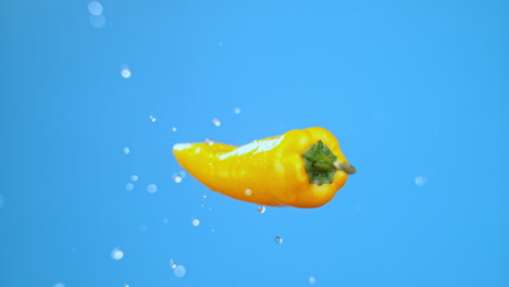 Single-yellow-bell-pepper-chili-jumping-in-air-and-flying-with-water-droplets,-vegetable-for-cooking-High-quality-cinematic-studio-commercial-super-slow-motion-1000fps-fresh-pepper-moving-up-and-down