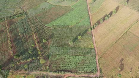 Top-down-view-on-idyllic-patchwork-fields-in-rural-landscape-in-Kenya