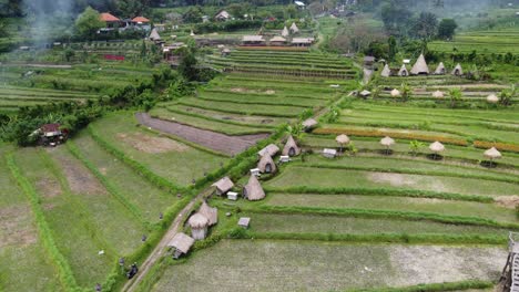 Cápsulas-De-Camping-Ecológico-En-La-Naturaleza-Verde-En-Estilo-Cabaña-Con-Techo-De-Paja,-Plataforma-Rodante-De-Drones-En