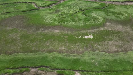 Más-Espacio-Verde-Del-Lecho-Del-Río-En-El-Wirral-Desde-El-Cielo