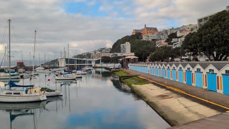 Vista-Panorámica-Del-Puerto-Deportivo-De-Chaffer-Con-Yates,-Cobertizos-Para-Barcos-Icónicos-Y-Casas-Encaramadas-En-Una-Colina-En-La-Bahía-Oriental-En-Wellington,-Nueva-Zelanda-Aotearoa