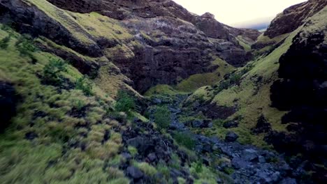 Dolly-in-low-altitude-drone-flight-unveils-volcanic-canyon-in-Maui,-Hawaii