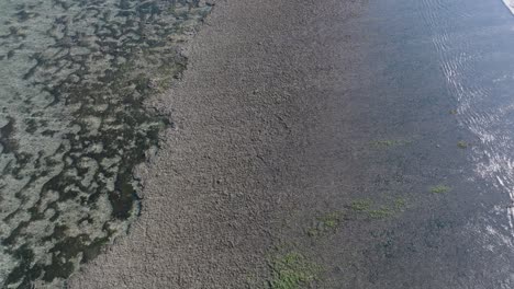 Panning-Drone-shot-over-low-tide-coral-reef-in-Uluwatu-Bali-Indonesia