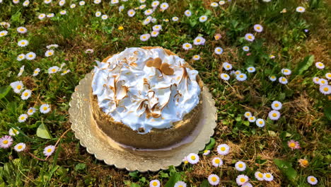 Pastel-De-Merengue-Con-Decoración-En-Forma-De-Corazón-En-Un-Campo-De-Flores-Silvestres.