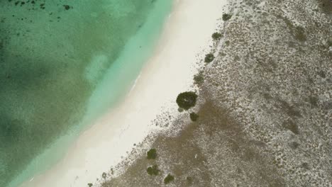 Der-Weiße-Sandstrand-Und-Das-Türkisfarbene-Wasser-Von-Cayo-De-Agua,-Los-Roques,-Luftaufnahme