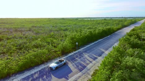 Cabriolet-driving-on-a-street-between-green-plants-and-trees-in-the-area-of-Key-West-in-slow-motion,-colorful-and-with-copy-space