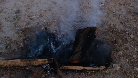 Aus-Dem-Herzen-Der-Flamme,-Einst-Tanzte-Wildes-Und-Pulsierendes-Leben,-Jetzt-Ruht-Asche