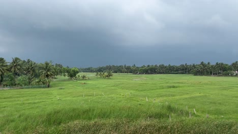 A-green-farm-land-in-Bengal-with-dark-cloudy-weather-in-monsoon-in-India