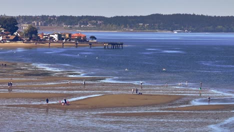 Aerial-View-Of-People-On-Dash-Point-Beach-During-Low-Tide-Season-In-Tacoma,-Washington-States,-USA