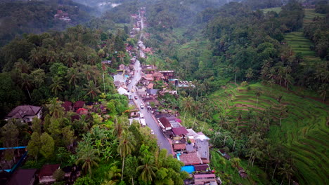 Aerial-view-of-Tegalalang-village-with-forest-and-rice-terrace-and-car-traffic-road,-Bali-in-Indonesia