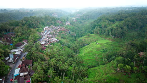 Pueblo-De-Tegalalang-Con-Bosques-Y-Terrazas-De-Arroz-Y-Carretera-De-Tráfico-De-Automóviles,-Bali-En-Indonesia