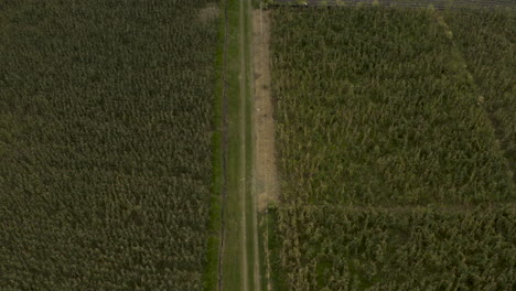 Panoramic-drone-shot-of-the-countryside,-Ibarra-Ecuador