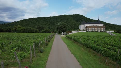 Chateau-Buera-Winery,-sand-vineyards-situated-in-the-heart-of-the-verdant-mountains-and-close-to-Lopota-Lake-in-the-Kakheti-region-of-Georgia