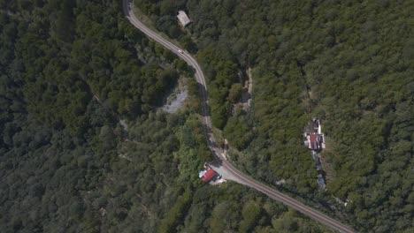 Largo-Tramo-De-Carretera-Alrededor-De-Un-Denso-Dosel-Forestal-En-El-Campo-De-México,-Vista-Aérea-De-Arriba-Hacia-Abajo