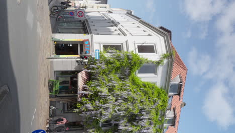 Charming-vertical-shot-of-historic-Flensburg-street