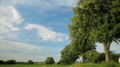 Autotransporter-Fährt-An-Einem-Sonnigen-Tag-An-Einem-Großen-Baum-Vorbei,-Blauer-Himmel-Mit-Wolken,-Ländliche-Umgebung,-Schwenkaufnahme