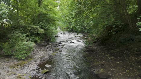 Drone-view-of-the-River-Tavy-flowing-through-dense-greenery-and-rocky-terrain,-Devon,-UK