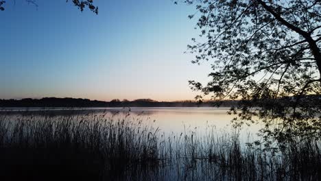 Timelapse-De-Un-Lago-Al-Amanecer-Con-El-Sol-Saliendo-Y-Niebla-Sobre-El-Agua