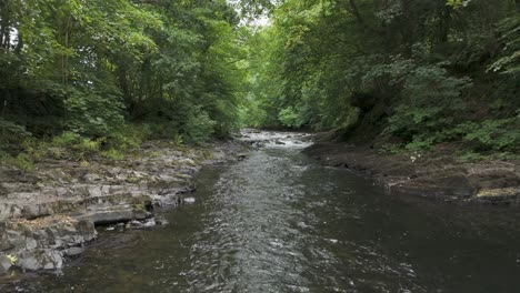 Flying-up-the-River-Tavy-showcasing-its-clear-waters-and-surrounding-greenery,-Devon,-UK