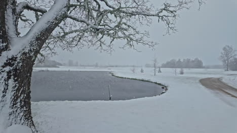 Snowy-Landscape-with-Frozen-Lake-and-Bare-Trees