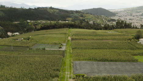 Panoramic-drone-shot-of-the-countryside,-Ibarra-Ecuador