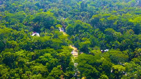 Aerial-dolly-over-vibrant-green-trees-in-the-Amazon-Rainforest-in-Brazil-near-a-remote-tribal-village-with-indigenous-people,-as-Pigeon-birds-fly-above-the-area-near-the-Amazon-River