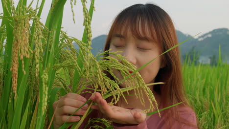 Retrato-De-Cerca-De-Una-Mujer-Asiática-Oliendo-Y-Revisando-La-Cosecha-De-Arroz-En-Una-Granja-De-Plantaciones-De-Campo