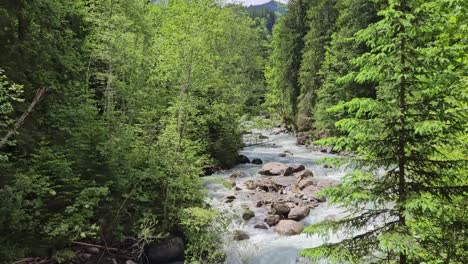 Toma-Estática-De-Un-Rápido-Arroyo-Forestal-En-La-Hermosa-Suiza.