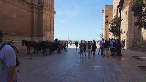 Horse-carriage-at-tourist-hotspot-in-Palma-de-Mallorca-cathedral-Spain-summer