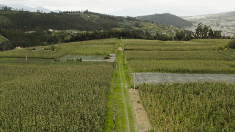 Panoramic-drone-shot-of-the-countryside,-Ibarra-Ecuador