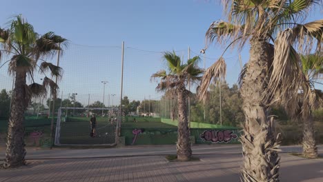 Fußball-Fußball-Kunstrasenplatz-Palma-De-Mallorca,-Spanien,-Palme-Klarer-Himmel