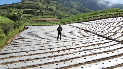 El-Piloto-Del-Dron-Vuela-El-Dron-Hacia-Atrás-Mientras-Muestra-La-Belleza-De-Los-Campos-Y-Las-Laderas-Del-Monte-Sumbing,-Java-Central,-Indonesia.