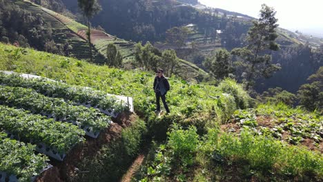 Die-Drohnenaufnahme-Umkreist-Den-Reisenden-Und-Zeigt-Die-Schönheit-Der-Hänge-Des-Mount-Sumbing,-Zentraljava,-Indonesien