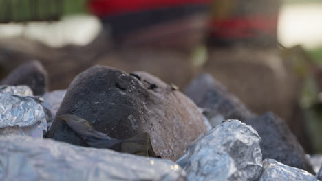 De-Cerca,-Un-Hombre-Aborigen-Agarra-Una-Papa-Humeante-Envuelta-En-Papel-De-Aluminio-De-Las-Piedras-Calientes-En-Un-Hoyo-De-Cocina-Indígena-En-El-Interior-De-Australia