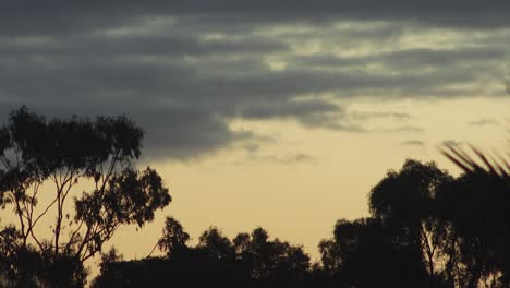 Australischer-Sonnenuntergang,-Große-Wolken-Und-Eukalyptusbäume,-Abenddämmerung,-Zwielicht,-Australien,-Maffra,-Gippsland,-Victoria