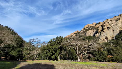 Landscape-pan-of-trees-in-bushland-forest-in-Mammoth-Rock-mountains-nature-hill-formation-Walnut-Creek-California-America-National-Parks-hiking-trails