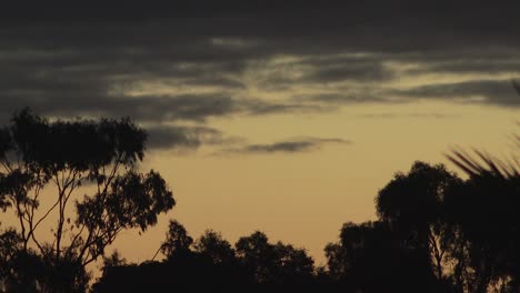 Australischer-Sonnenuntergang,-Große-Wolken-Und-Eukalyptusbäume,-Dämmerung,-Australien,-Maffra,-Gippsland,-Victoria