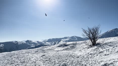 Farellones-Santiago-De-Chile-Rio-Dia-Naturaleza-Nevado-Y-Halcon