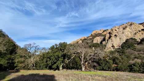 Pan-across-trees-in-bushland-forest-of-Mammoth-Rocks-National-Park-mountain-hiking-trails-nature-landscape-Walnut-Creek-California-USA-travel-tourism-wilderness