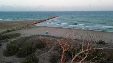 Drohnenansicht-Eines-Ruhigen-Strandes-Mit-Einem-Wellenbrecher-Bei-Sonnenuntergang,-Vorbei-An-Einem-Toten-Baum