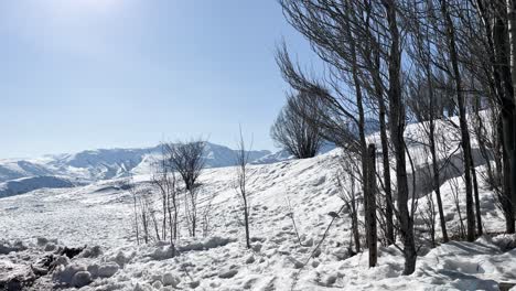 Farellones-Santiago-De-Chile-Río-Día-Naturaleza-Nieve-Y-Halcón-Invierno