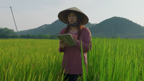 Vietnamese-woman-farmer-wearing-Chinese-rice-hat-checking-the-crop-in-rice-field-plantation-taking-note-on-her-notebook