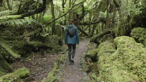 Young-caucasian-woman-in-a-rainjacket-with-a-backpack-walking-on-a-path-through-a-rainforest-at-Moraine-Walk,-West-Coast,-New-Zealand