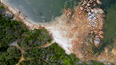 4K-Aerial-Drone-video-flying-up-revealing-white-and-orange-dirt-and-the-blue-ocean-surrounded-by-lush-green-nature-at-a-campsite-in-Western-Australia