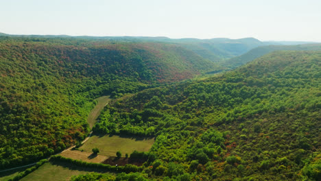 Aerial-view-following-a-drought-damaged-valley,-summer-day-in-Istria,-Croatia