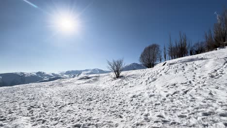 Farellones-Santiago-De-Chile-Río-Día-Naturaleza-Nieve-Y-Halcón-Invierno-Luz-Del-Día