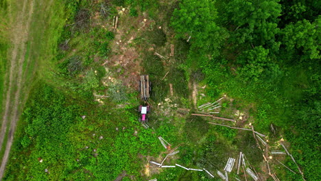 Effects-of-deforestation,-land-with-wood-trunks-on-the-ground,-aerial-top-down-view