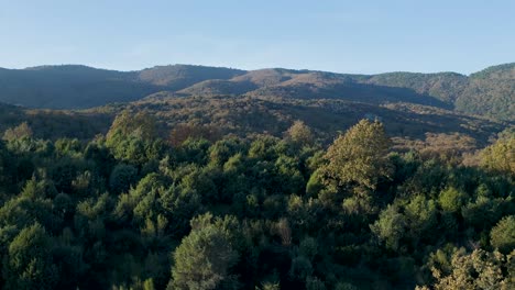 Vuelo-Lateral-Con-Drone-Observando-Al-Atardecer-Un-Bosque-De-Robles-Y-Enebros-En-Otoño-Con-El-Inicio-De-Sus-Hojas-Secas-Y-Con-Grandes-Montañas,-Se-Crea-Un-Efecto-De-Paralaje-Al-Inicio