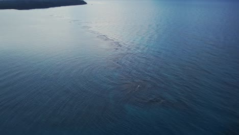 panning-down-shot-of-a-reef